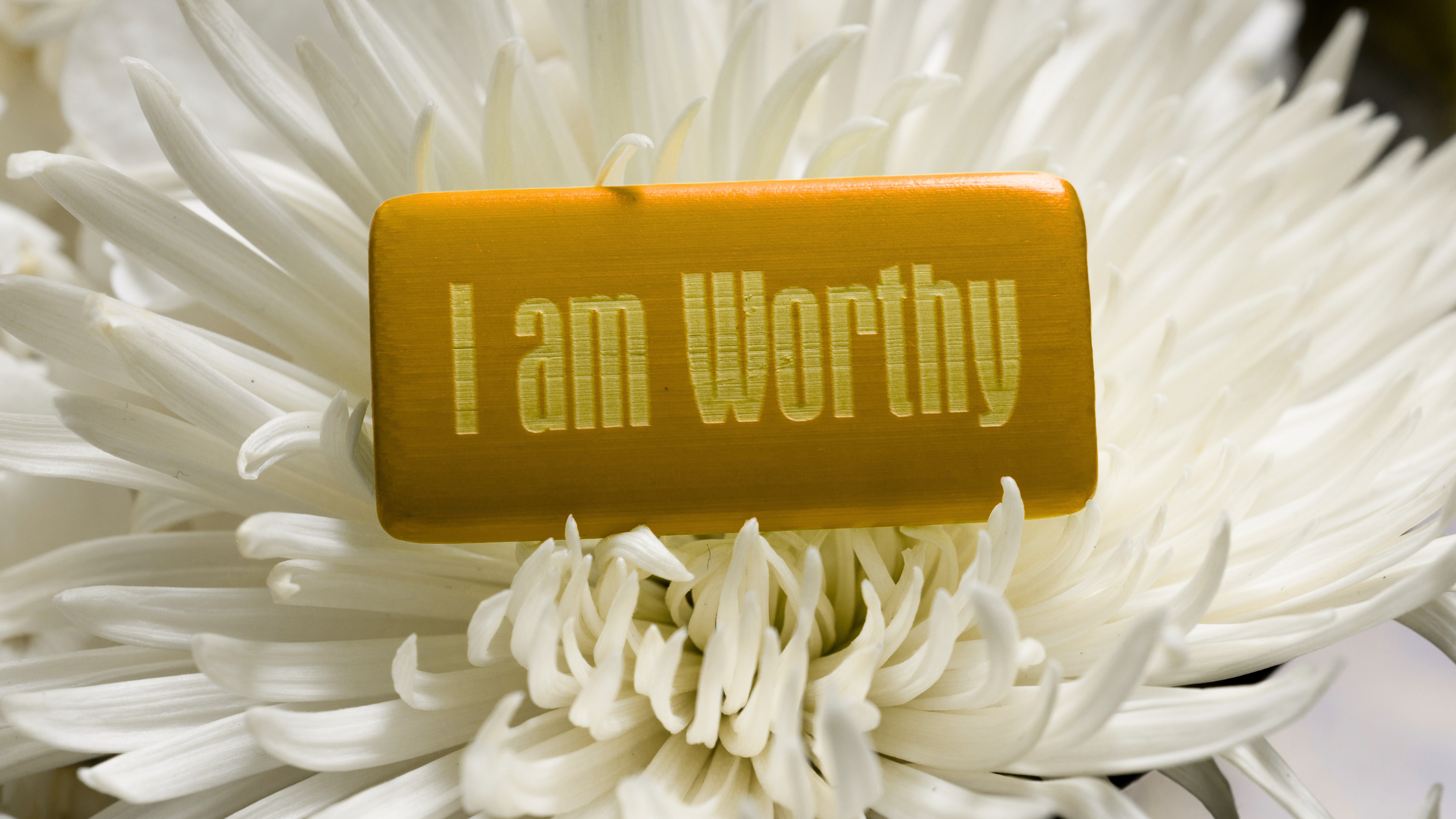 Gold plaque reading “I am Worthy” on a white flower