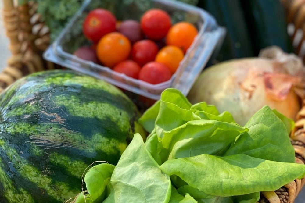 Close-up of a produce box containing watermelon, cherry tomatoes, green lettuce, an onion, and other vegetables, provided by Common Market.